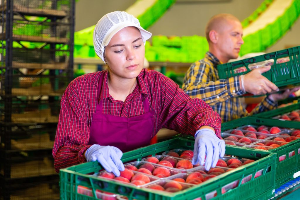 fruit picker